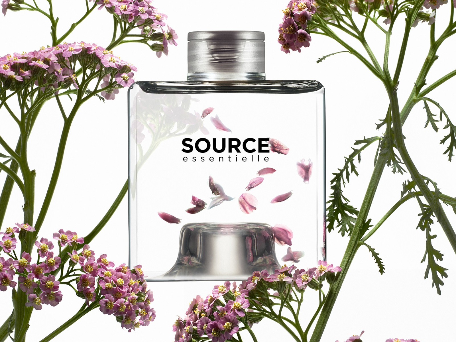 Source Essentielle Βαμμένα Μαλλιά