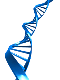 DNA - Blue - Κρεατίνη